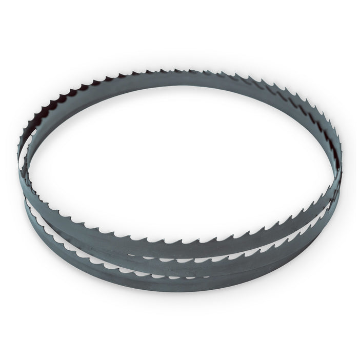 Carbide-Tipped Band Saw Blade 136-1/2"